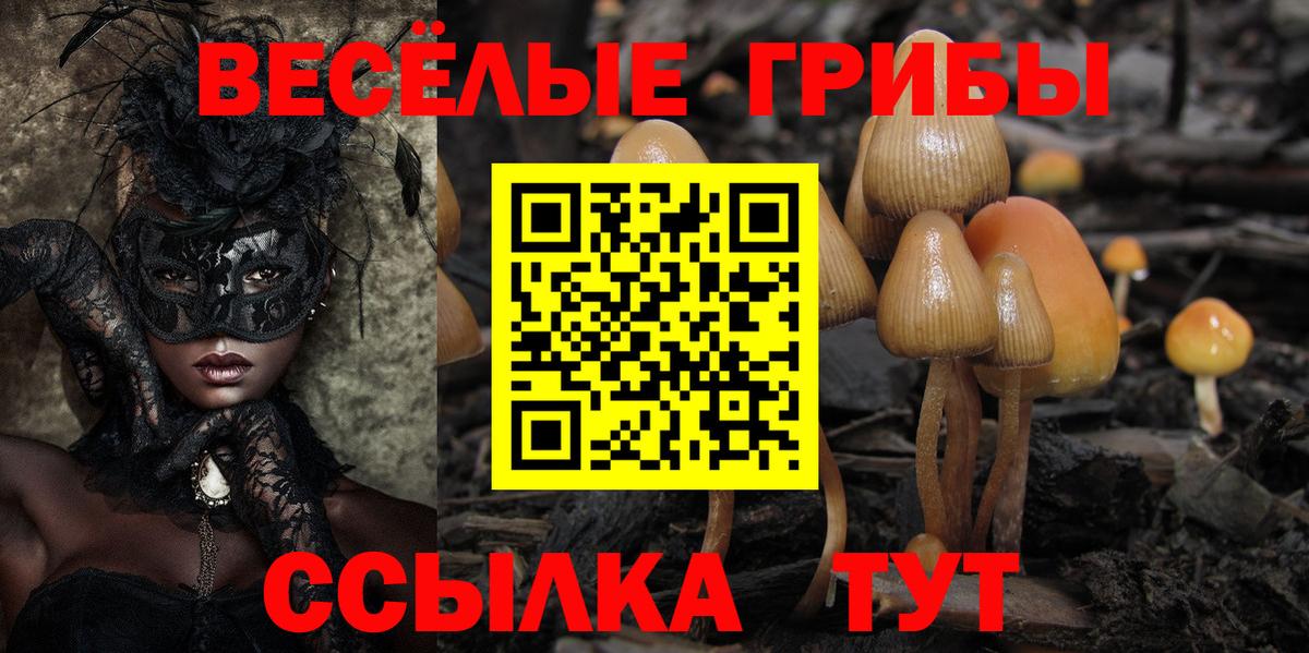 Псилоцибиновые грибы Psilocybine cubensis Стрежевой